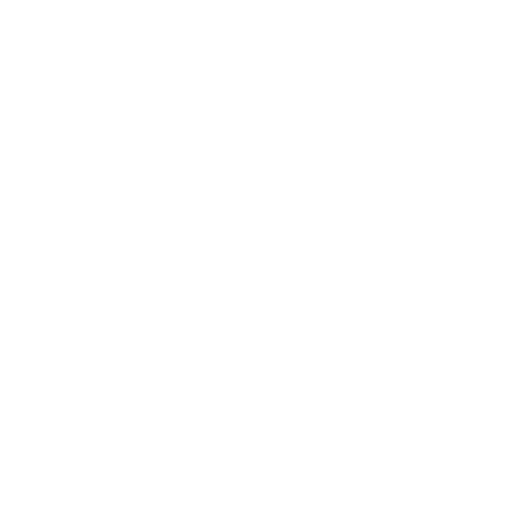 WordPress Logo Image